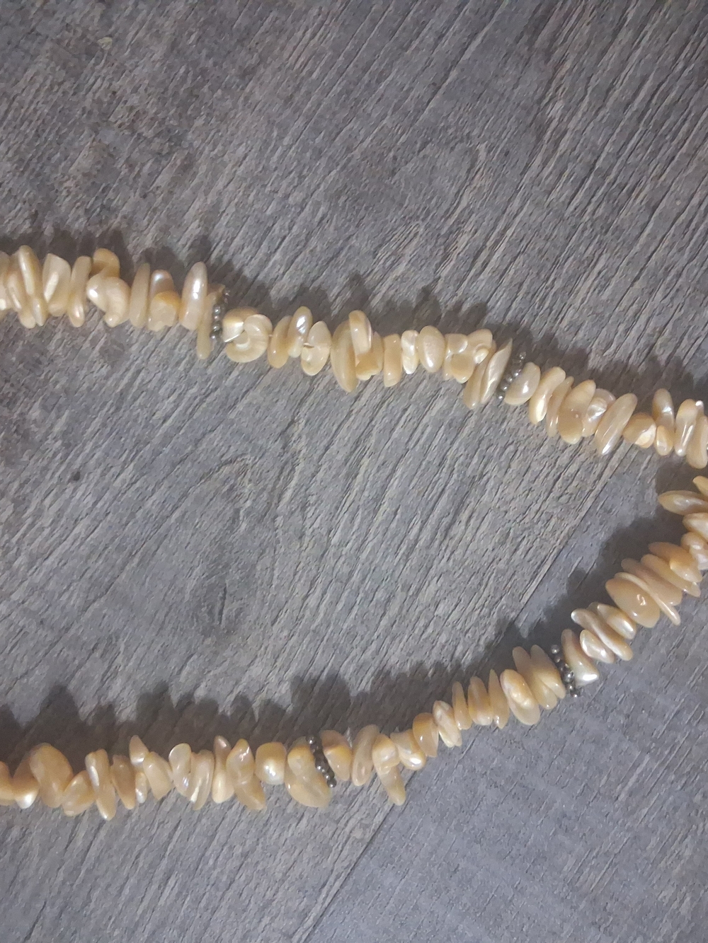 Natural Cream Shell Chip Necklace - Women's Jewelry
